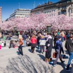 Kungsträdgården 2014-4