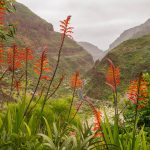 Gran Canaria Dag 2-7